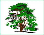 Fa matrica + címke csomag 5. típus