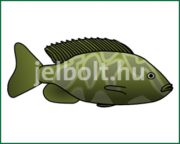 Hal matrica + címke csomag 6. típus